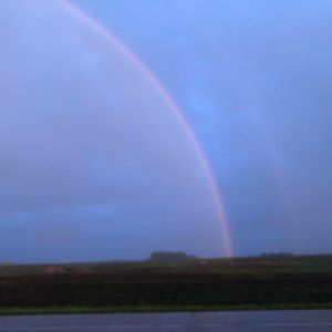 Meet your Posher, Renee